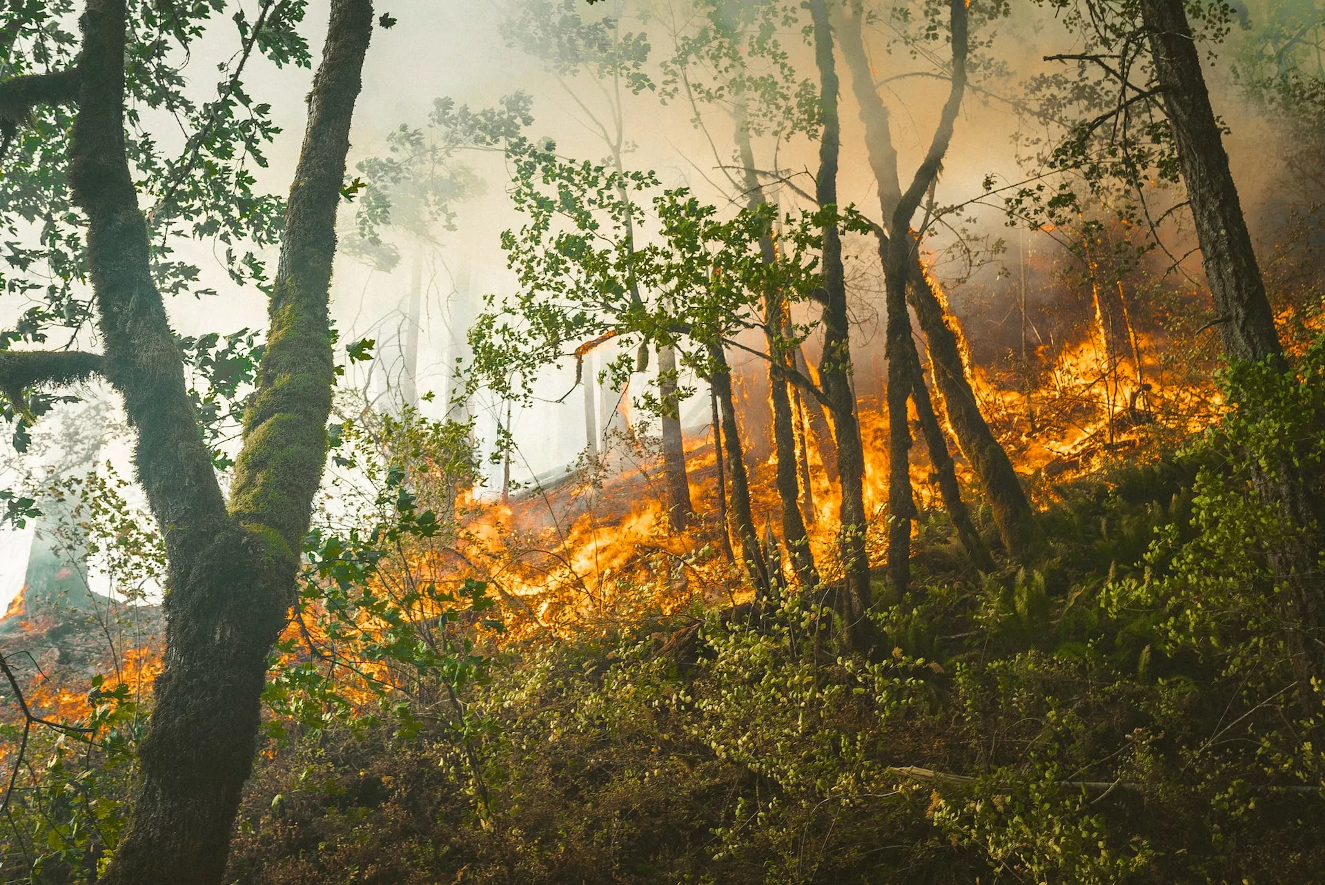 LA HUMEDAD Y EN NIVEL DEL RÍO REDUCEN EL AVANCE DE LOS INCENDIOS EN SANTA FE